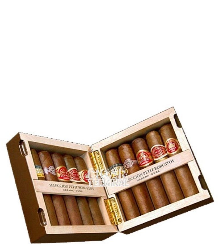 Combination Selection Petit Robustos Cigars x10